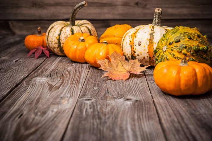 health benefits of gourds and pumpkins